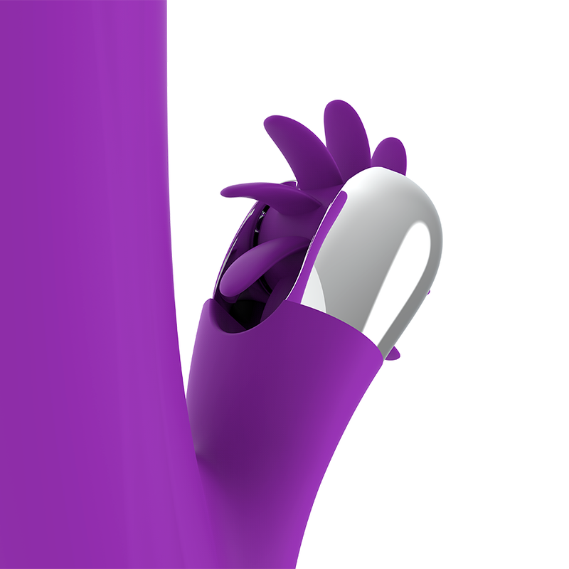 JAUTRA FUNKCIJA — BUNNY FUNNY ROTATION 2.0