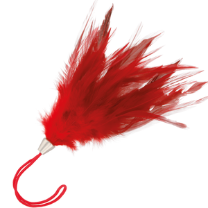 DARKNESS - RED STIMULATING PEN 17CM DARKNESS SENSATIONS