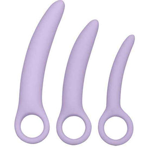 CALEXOTICS - DR LAURA BERMAN ALENA ENSEMBLE DE 3 DILATATEURS EN SILICONE CALEXOTICS