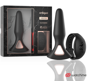 ANBIGUO — WATCHME TĀLVADĪBAS PULTS VIBRATORS ANĀLAIS SPRUGS ALEXANDRU