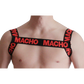 МАЧО - КРАСНАЯ Сбруя