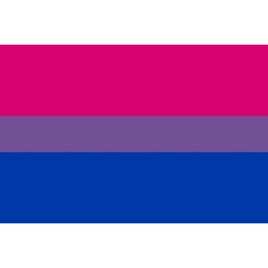 PRIDE — BISEKSUĀLĀ KAROGA APROCE 90 X 150