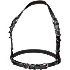 CALEXOTICS - EUPHORIA HALTER BUCKLE HARNESS BLACK CALEXOTICS