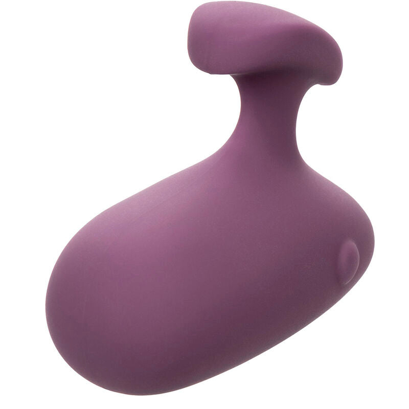 CALEXOTICS - MOD TOUCH STIMULATOR PURPLE CALEXOTICS