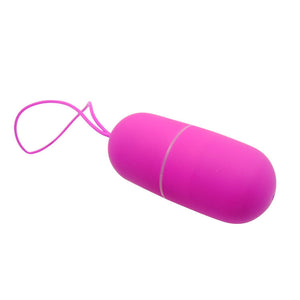 PRETTY LOVE - VIBRATING EGG ARVIN REMOTE CONTROL 12V - LoveYou.lv