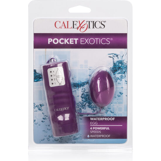 CALIFORNIA EXOTICS - POCKET EXOTICS OEUF IMPERMÉABLE VIOLET 4V CALEXOTICS
